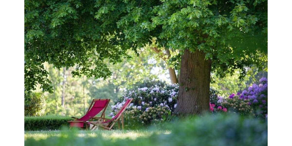 Gewerbeobjekt Stemwede Haldem - 1 Zimmer, 1.850.000&euro; | Angebot:25845288