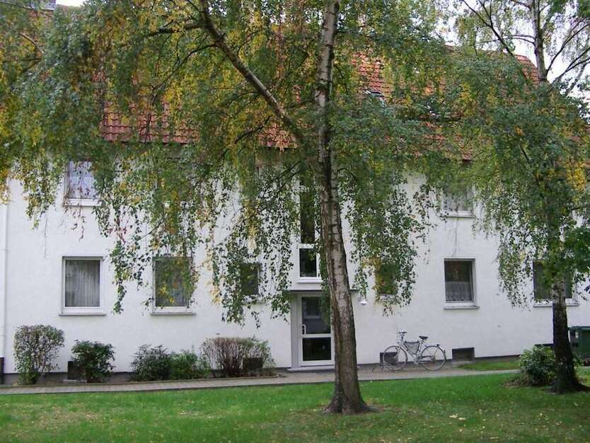 Wohnung zum Mieten in Goslar 507,50 € 70 m²