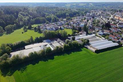 Gewerbeobjekt Eggenfelden - 1.390.000&euro; | Angebot:20827907