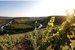 EXKLUSIVE UND SONNIGE LAGE MIT WEINBERG-AUSSICHT zimmer
