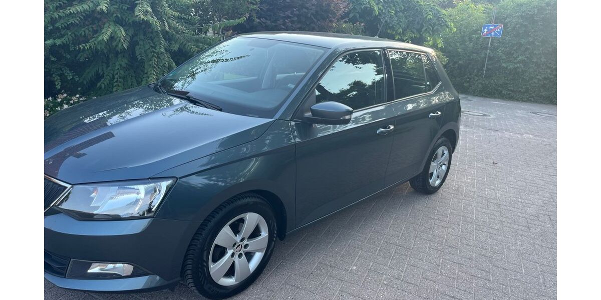 Skoda Fabia 175.000 km 4.300 &euro; Hagen aTW 49170