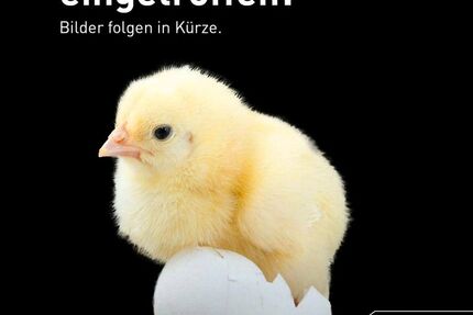 Mercedes-Benz EQA 19.055 km 36.870 &euro; Neu-Ulm 89231