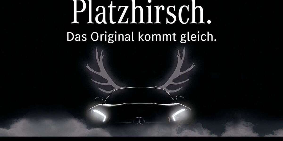 Mercedes-Benz V 300 2.001 km 101.400 &euro; Freiburg 79111
