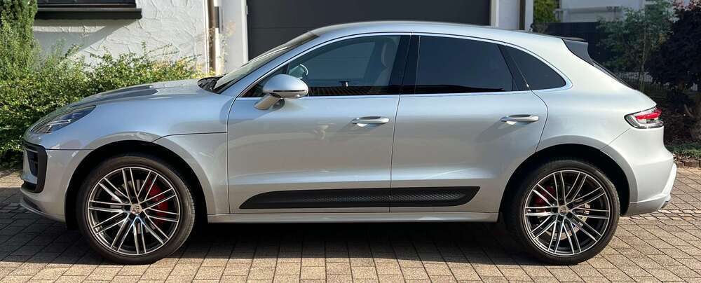 Macan