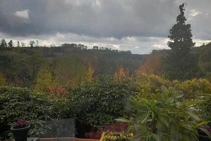 Wochendhaus an Schnellentschlossene zimmer