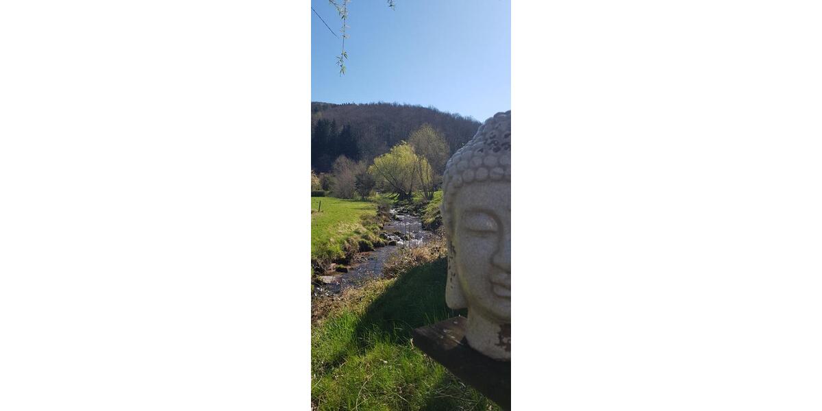 6 Zimmer pure Möglichkeiten in Naturlage - Eberbach im Odenwald 6 zimmer