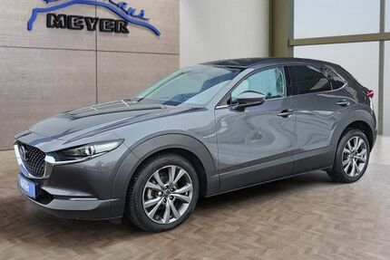 Mazda CX-30 81.654 km 20.800 &euro; Hohenwarsleben bei Magdeburg 39326