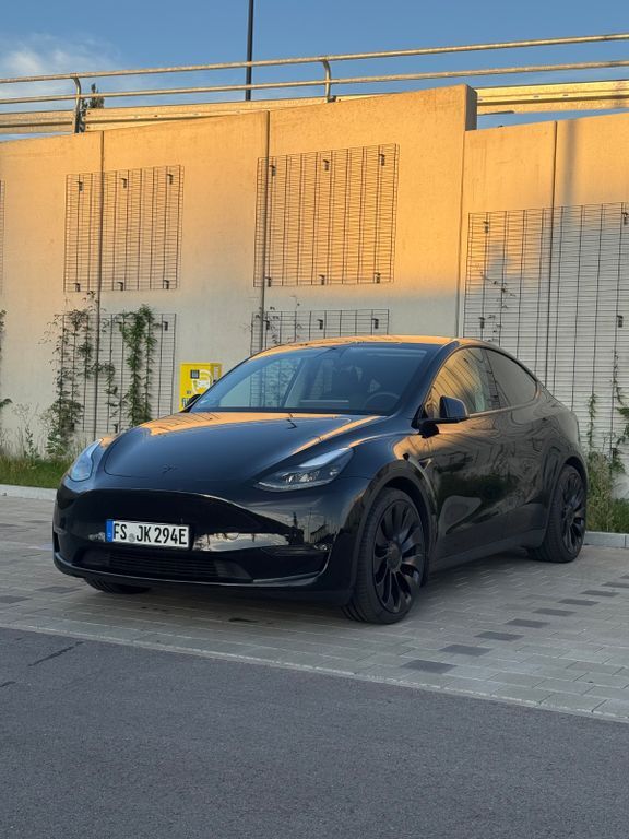 Model Y