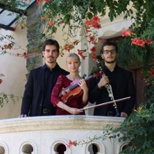 Aller Guten Dinge sind Drei - Konzert mit dem Trio Reinecke