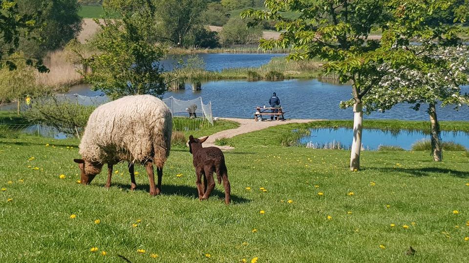 Ferienimmobilie Dortmund Gartenstadt - 75&euro; | Angebot:25990285