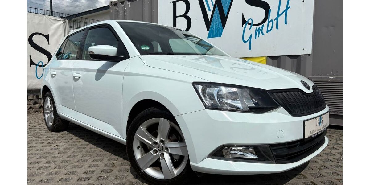 Skoda Fabia 50.000 km 9.490 &euro; Gera 07548