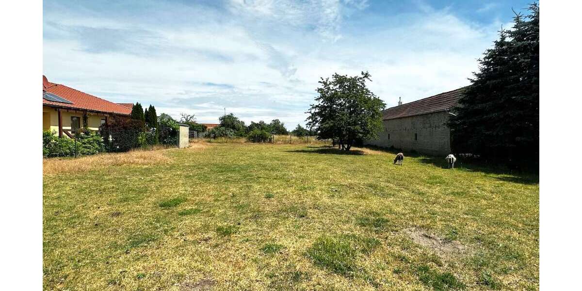 Grundstück in Trippigleben 195.000 € 19285 m² zimmer