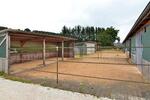 PFERDERANCH, REITANLAGE, TRAUMHAUS, SPITZENPREIS - Einfamilienhaus Meckenbach | Angebot:26373625