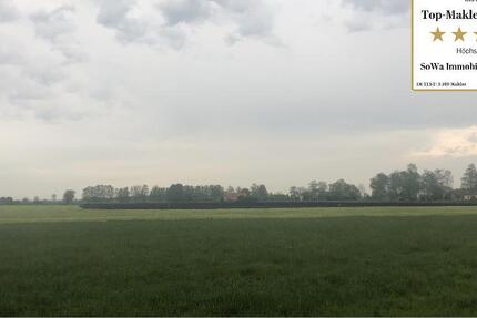 Großzügige Landwirtschaftsfläche oder Ausgleichsfläche in Königsmoos - Ein Objekt von SOWA Immobilien & Finanzen Ihrem Immobilienprofi vor Ort