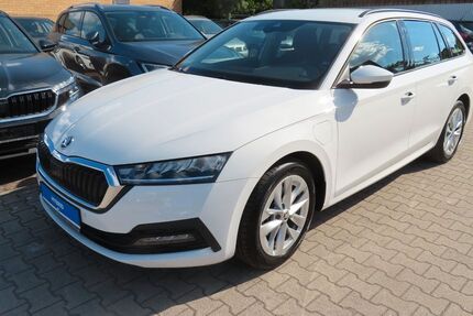 Skoda Octavia 24.000 km 27.590 &euro; Dombühl 91601