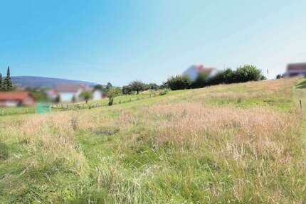 Grundstück zu verkaufen in Schieder-Schwalenberg 44.000 € 1000.11 m² zimmer