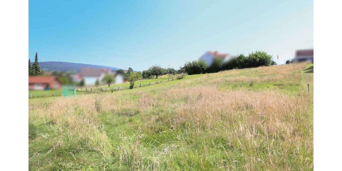 Grundstück zu verkaufen in Schieder-Schwalenberg 44.000 € 1000.11 m² zimmer