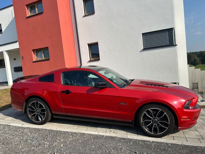 Mustang