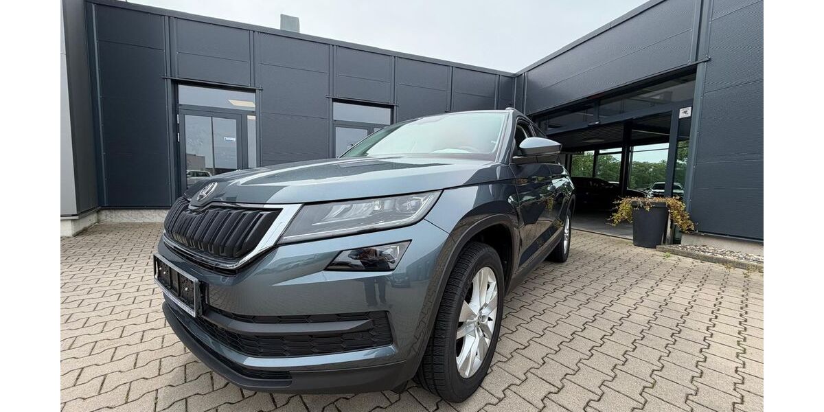 Skoda Kodiaq 78.314 km 22.990 &euro; Emsdetten 48282