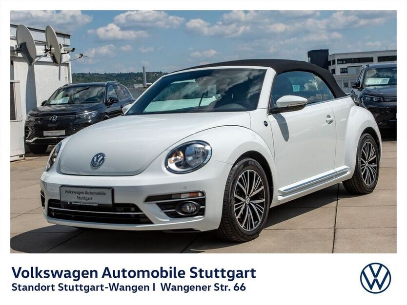 Beetle