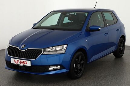 Skoda Fabia 37.144 km 13.990 € Brehna 06796