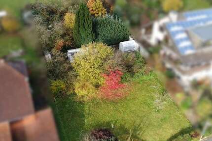 Grundstück Schlangen / Kohlstädt Kohlstädt - 139.000&euro; | Angebot:25201771