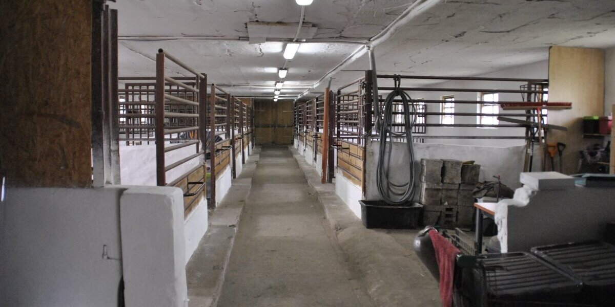 Marlow-OT, Reitanlage + Blockhütten in Ostseenähe - Anlageobjekt Marlow Allerstorf | Angebot:12287822