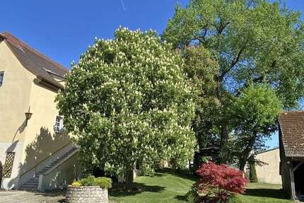 Haus Frankenwinheim - 8 Zimmer, 230 m&sup2;, 559.000&euro; | Angebot:21581126