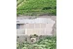 Einfamilienhaus Zell (Mosel) - 295.000&euro; | Angebot:22240325