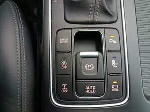 Kia SORENTO 2.2D AWD AT8 PLATINUM Pano HeadUp AHK 69.902 km 27.460 &euro; Höhenkirchen-Siegertsbrun 85635