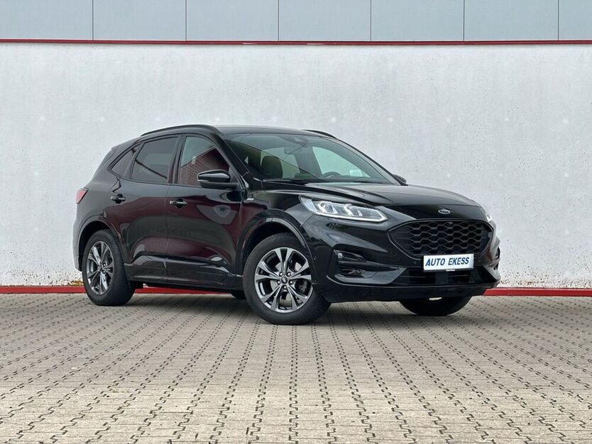 Kuga