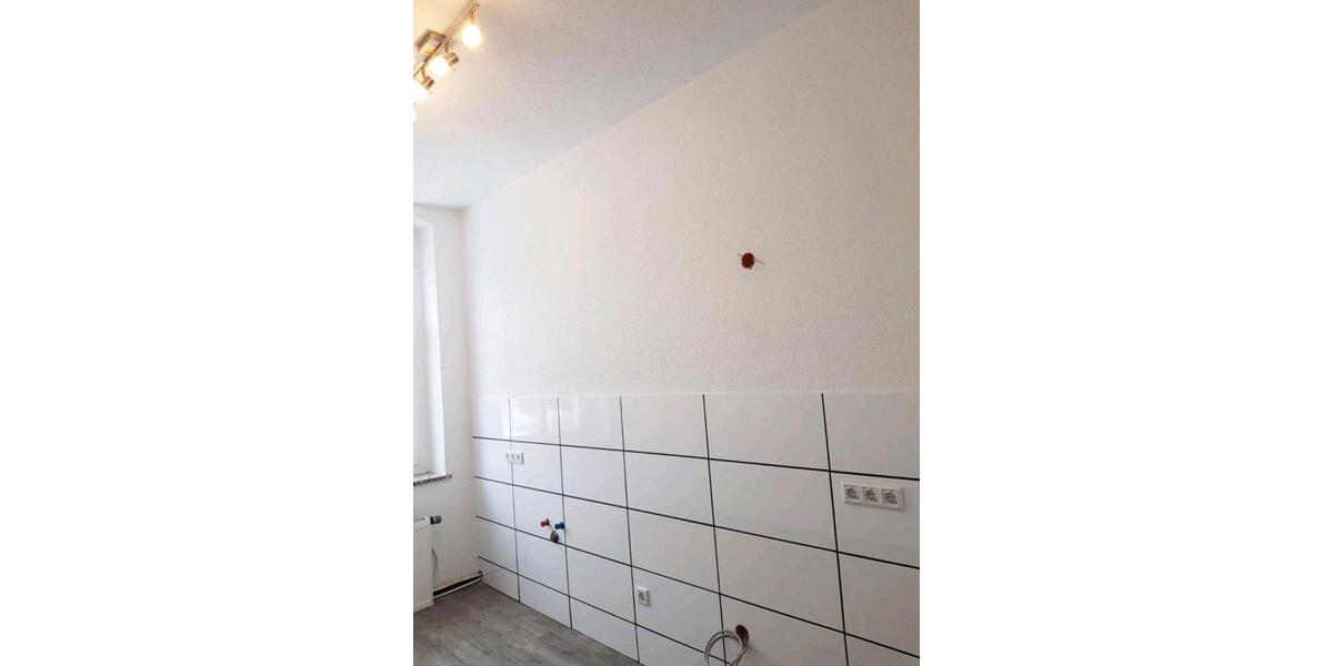 Etagenwohnung Neustadt in Sachsen - 5 Zimmer, 160 m&sup2;, 960&euro; | Angebot:26216073
