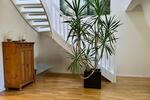 Maisonettenwohnung Augsburg - 5 Zimmer, 240 m&sup2;, 3.000&euro; | Angebot:26447519