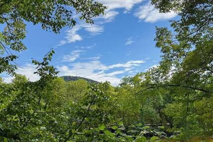 Lichtverwöhnte, urbane Stadtwohnung mit Süd-Balkon in beliebter Ahrlage von Bad Neuenahr! 3 zimmer