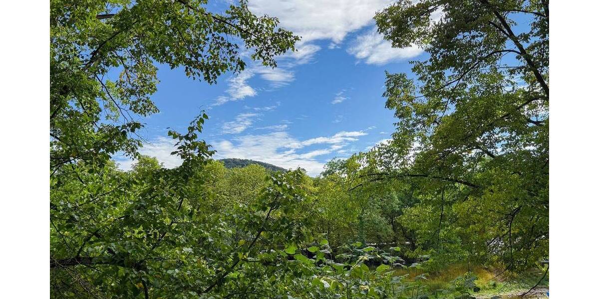 Lichtverwöhnte, urbane Stadtwohnung mit Süd-Balkon in beliebter Ahrlage von Bad Neuenahr! 3 zimmer