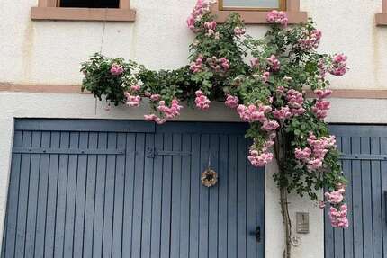 Haus Otzberg-Ober-Klingen Klingen - 6 Zimmer, 167 m&sup2;, 1.500&euro; | Angebot:25774516