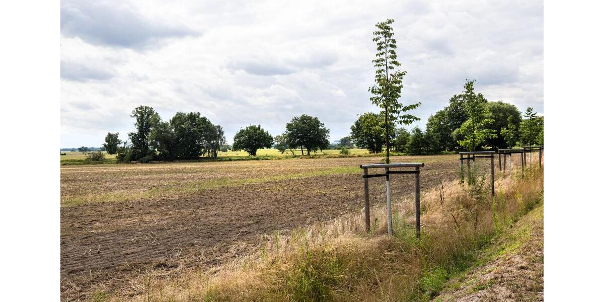 Etagenwohnung Möckern - 1 Zimmer, 31 m&sup2;, 240&euro; | Angebot:25181948