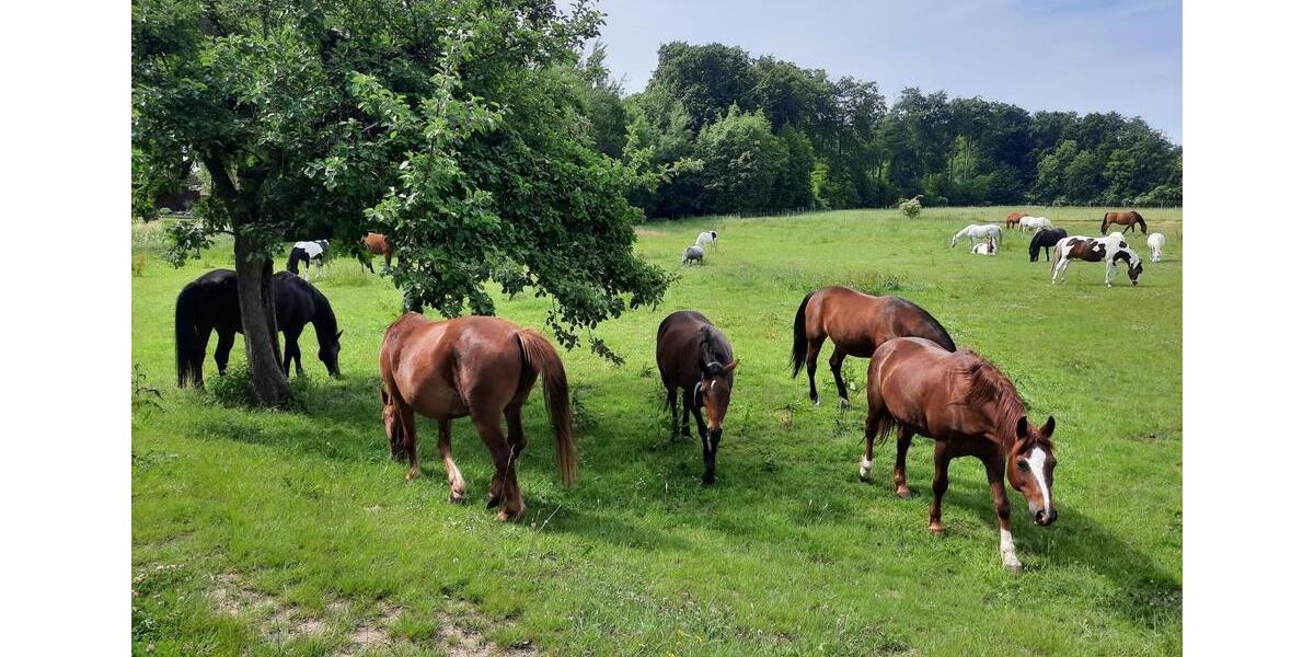 Erdgeschoßwohnung Rosendahl - 2 Zimmer, 55 m&sup2;, 670&euro; | Angebot:25932999