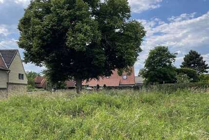 Grundstück zu verkaufen in Lützen 110.000 € 693 m² zimmer