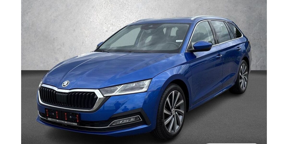 Skoda Octavia 100.300 km 22.490 &euro; Chamerau 93466