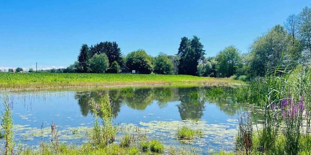 Einfamilienhaus Markdorf - 3 Zimmer, 90 m&sup2;, 890.000&euro; | Angebot:26236878