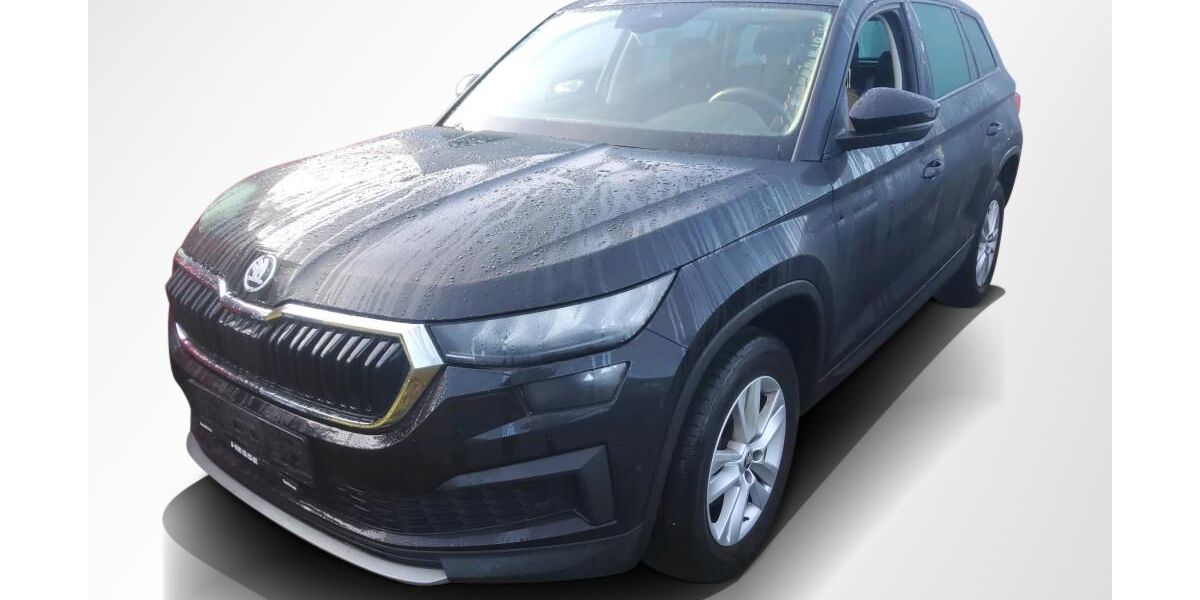 Skoda Kodiaq 98.800 km 26.480 &euro; Magdeburg 39118