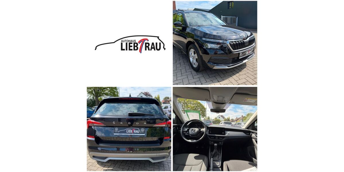 Skoda Kamiq 90.400 km 17.777 &euro; Loxstedt - Bexhövede 27612