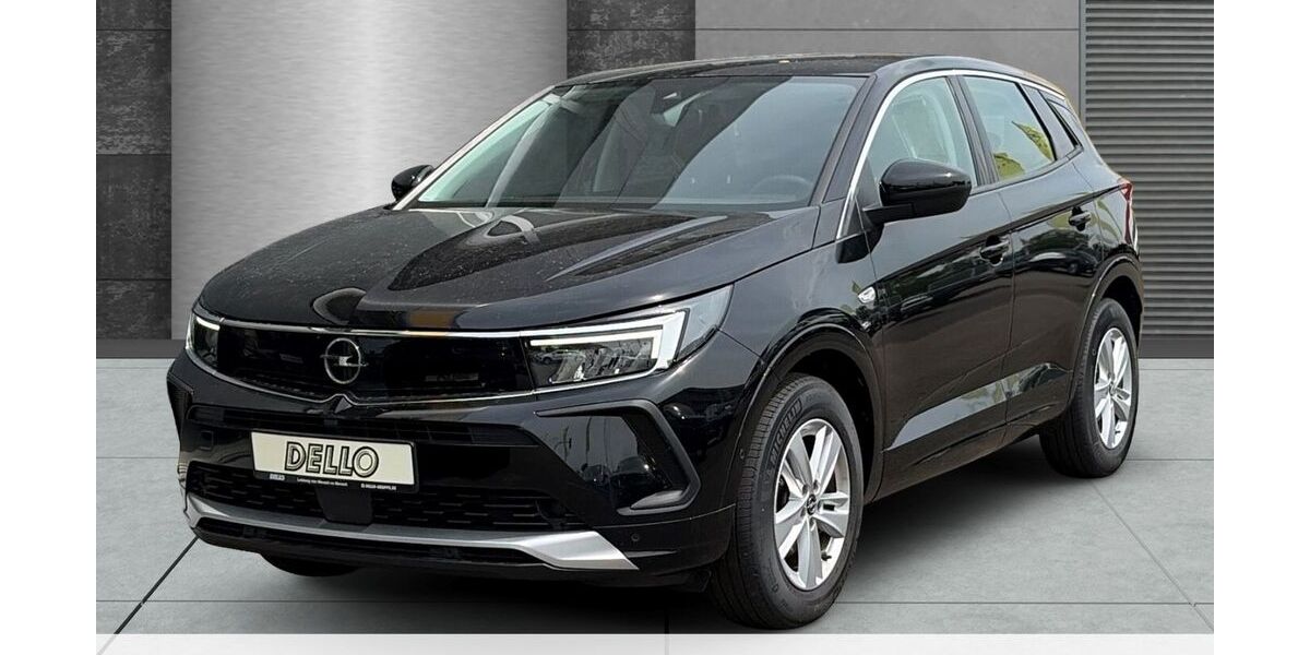 Opel Grandland (X) 41.381 km 19.980 &euro; Heide 25746