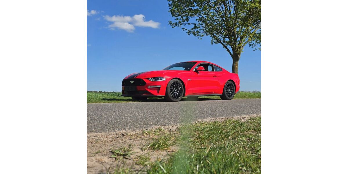 Ford Mustang 30.100 km 40.900 &euro; Oranienburg 16515