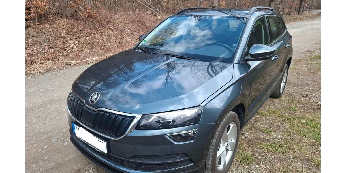 Skoda Karoq 125.800 km 15.700 &euro; Wernigerode 38855