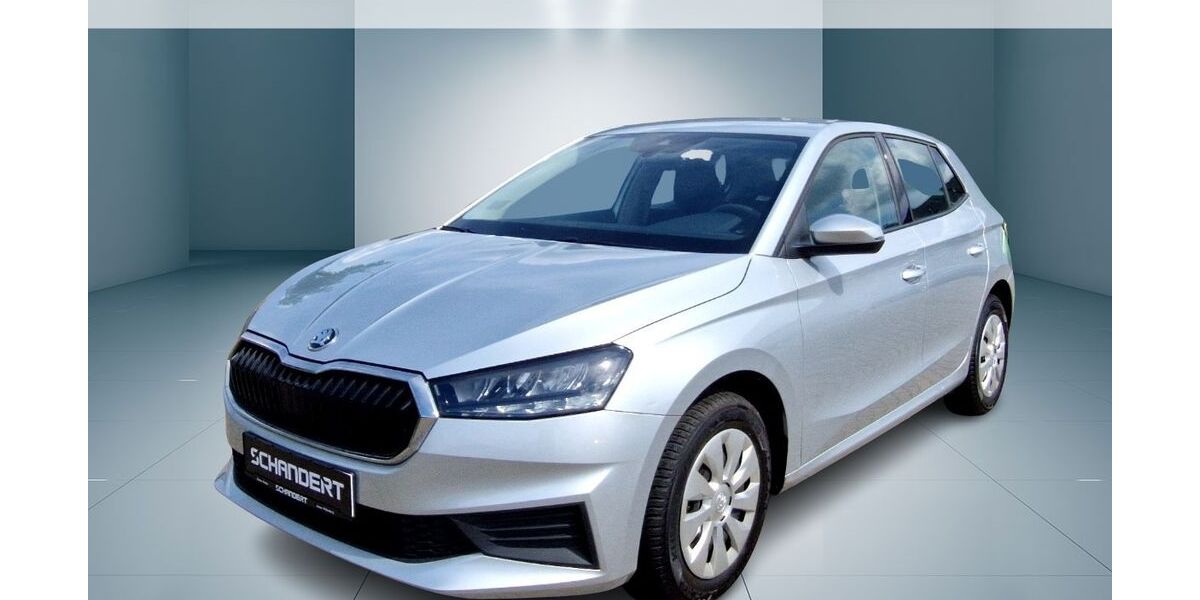 Skoda Fabia 17.650 km 15.770 &euro; Jessen 06917