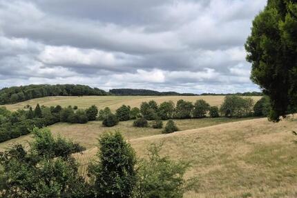 Helle 3-Zimmer-Wohnung mit großer Terrasse, Garten & Ausblick 3 zimmer