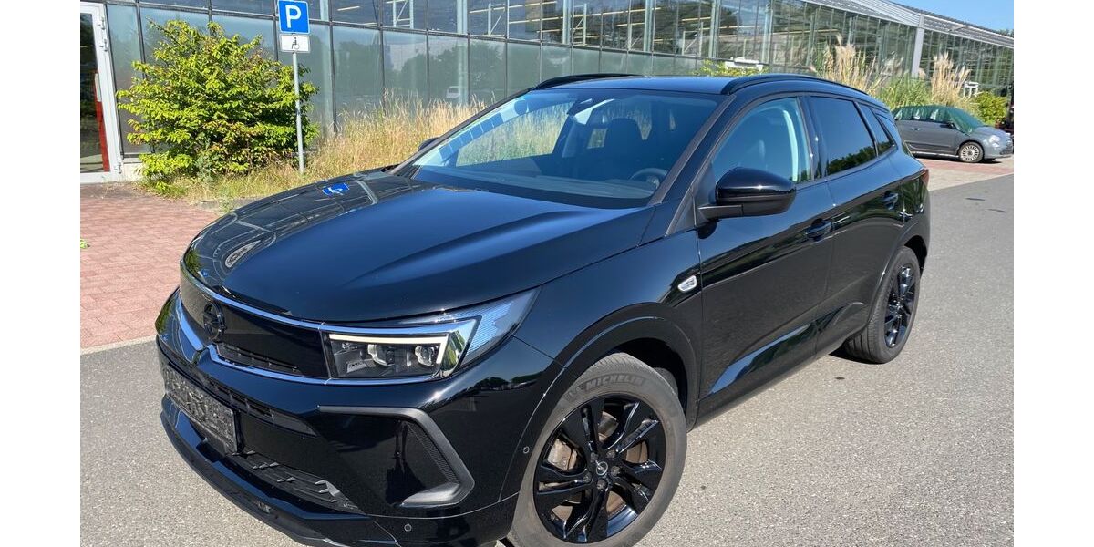 Opel Grandland (X) 95.000 km 15.690 &euro; aschaffenburg 63741