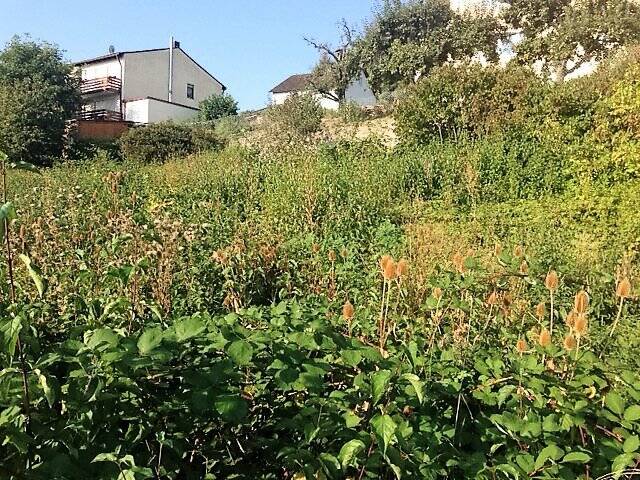 Grundstück Treuchtlingen - 165.000&euro; | Angebot:25066655